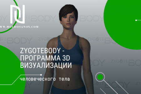 ZygoteBody — программа 3D визуализации человеческого тела